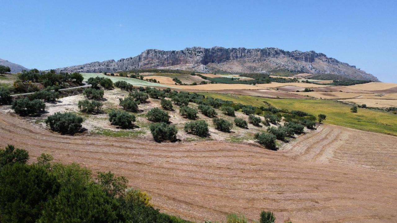 La Posada Del Torcal Villanueva de la Concepción Eksteriør bilde